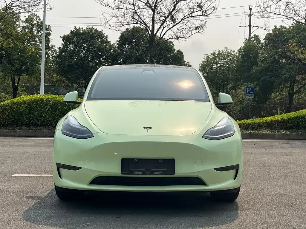 Tesla Model Y — фото 7