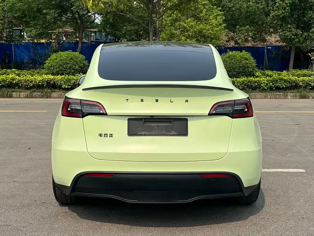 Tesla Model Y — фото 10