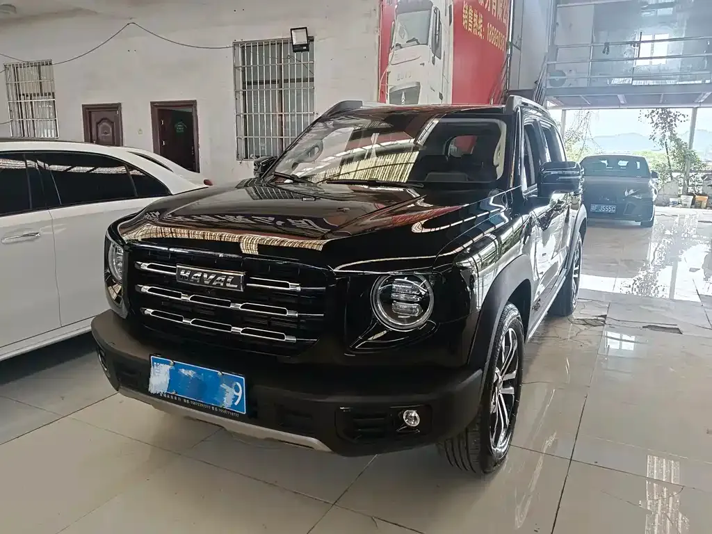 Haval Big Dog 2023 из CN, фото 1