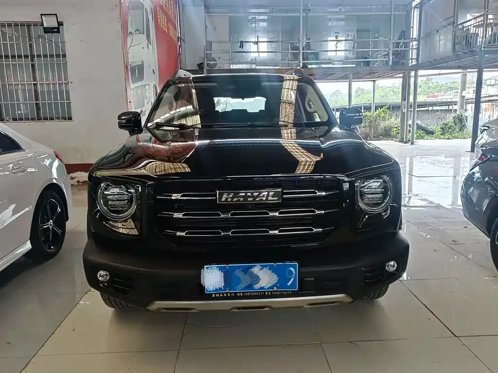 Haval Big Dog 2023 из CN, фото 4