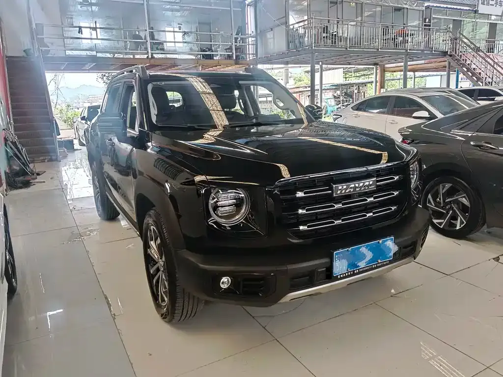 Haval Big Dog 2023 из CN, фото 8
