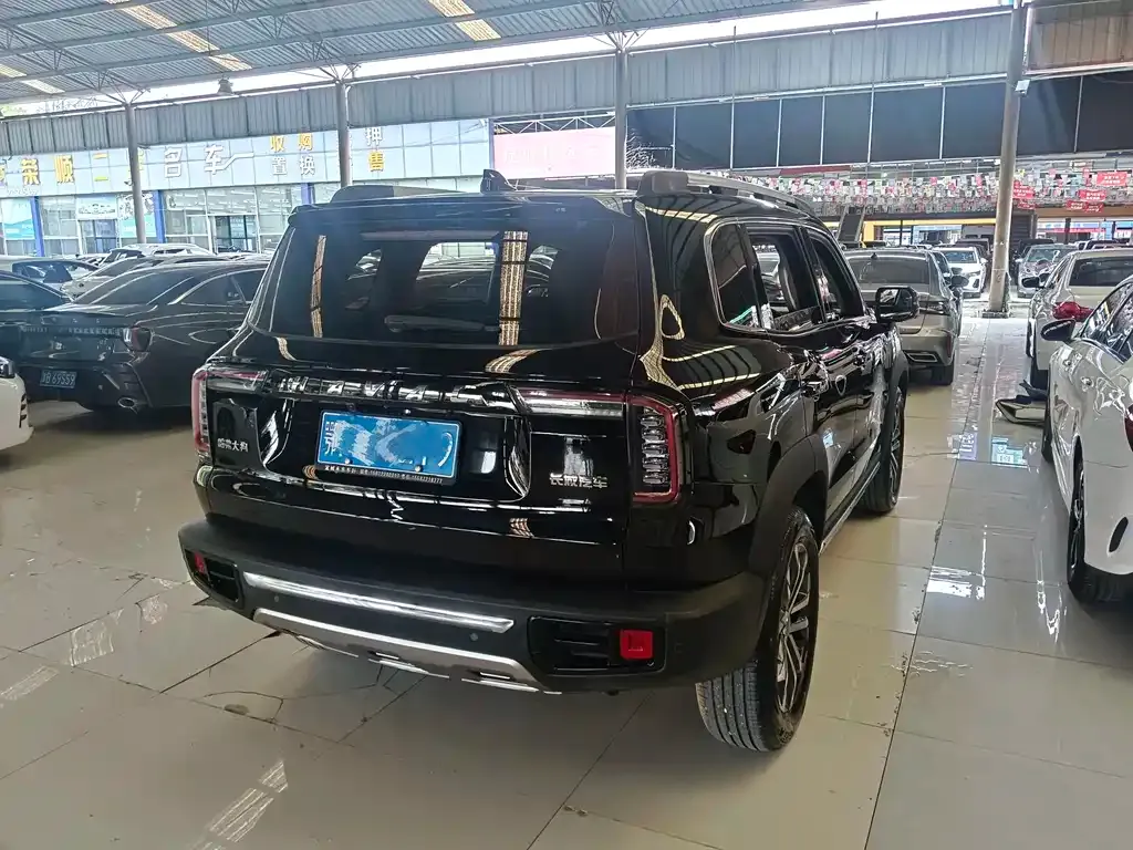 Haval Big Dog 2023 из CN, фото 2