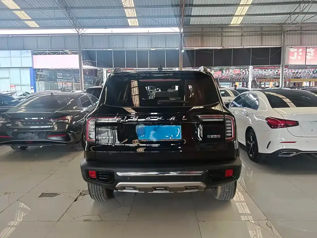 Haval Big Dog 2023 из CN, фото 6