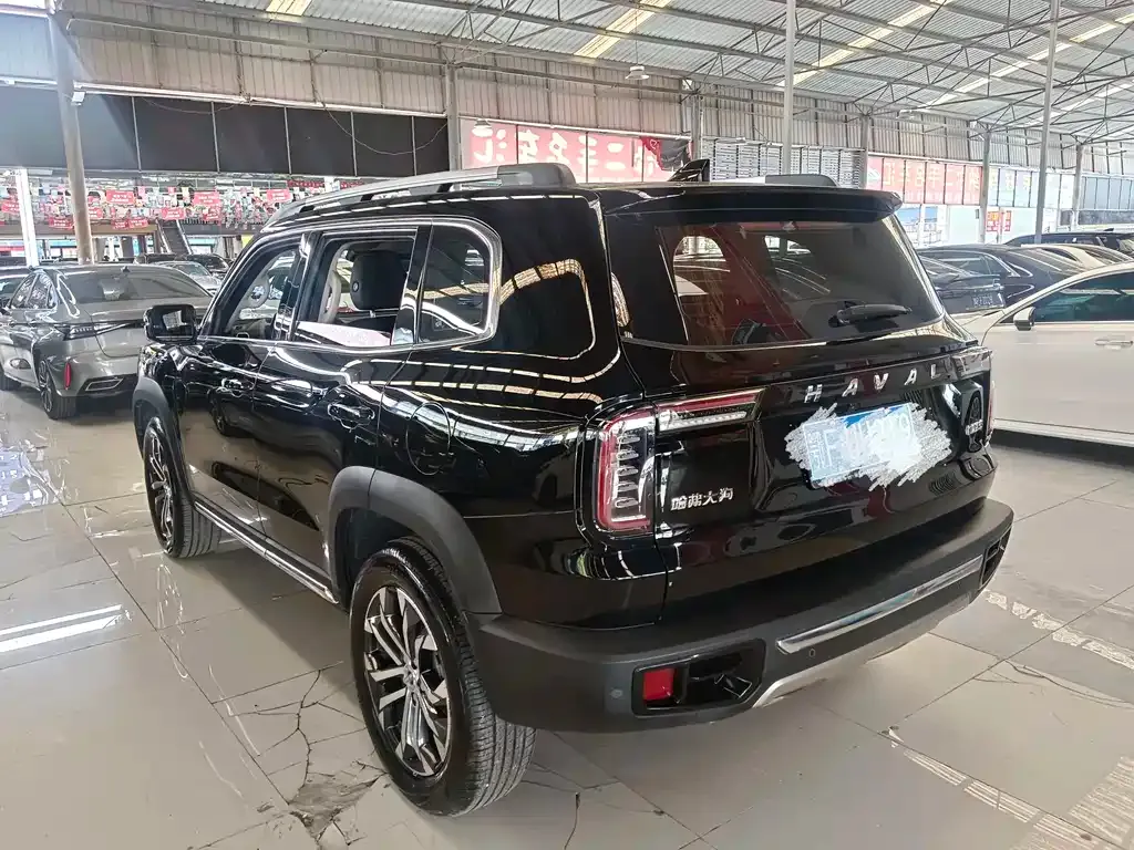 Haval Big Dog 2023 из CN, фото 9