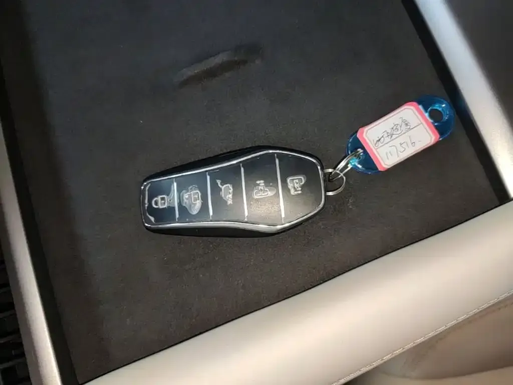BYD Xia 2025 из CN, фото 4