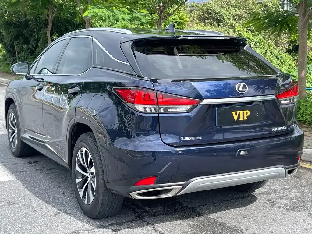 Lexus RX 2021 из CN, фото 9
