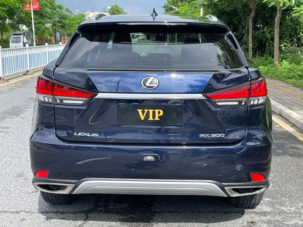 Lexus RX 2021 из CN, фото 7