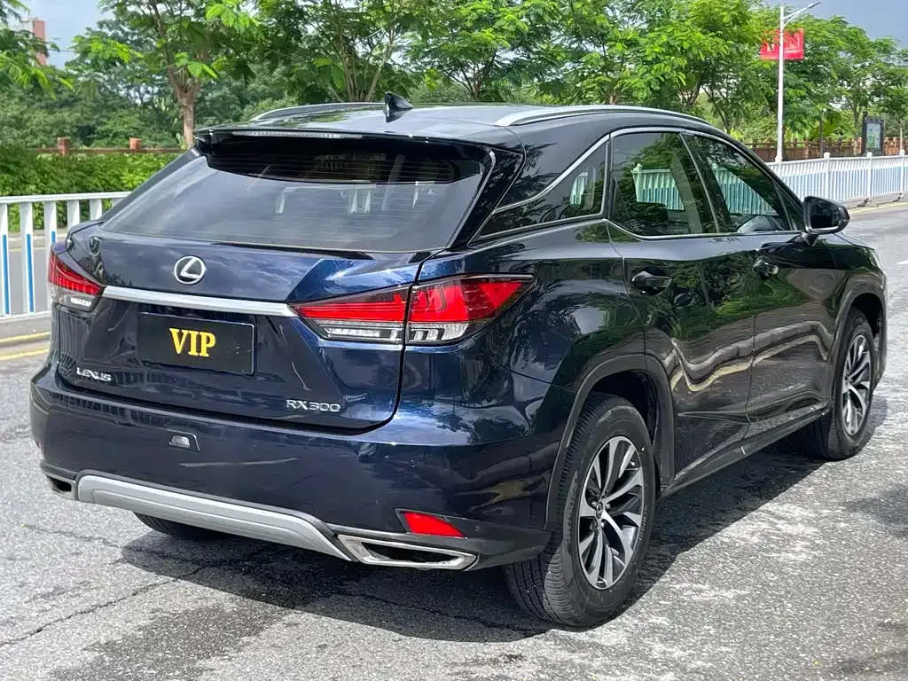 Lexus RX 2021 из CN, фото 10