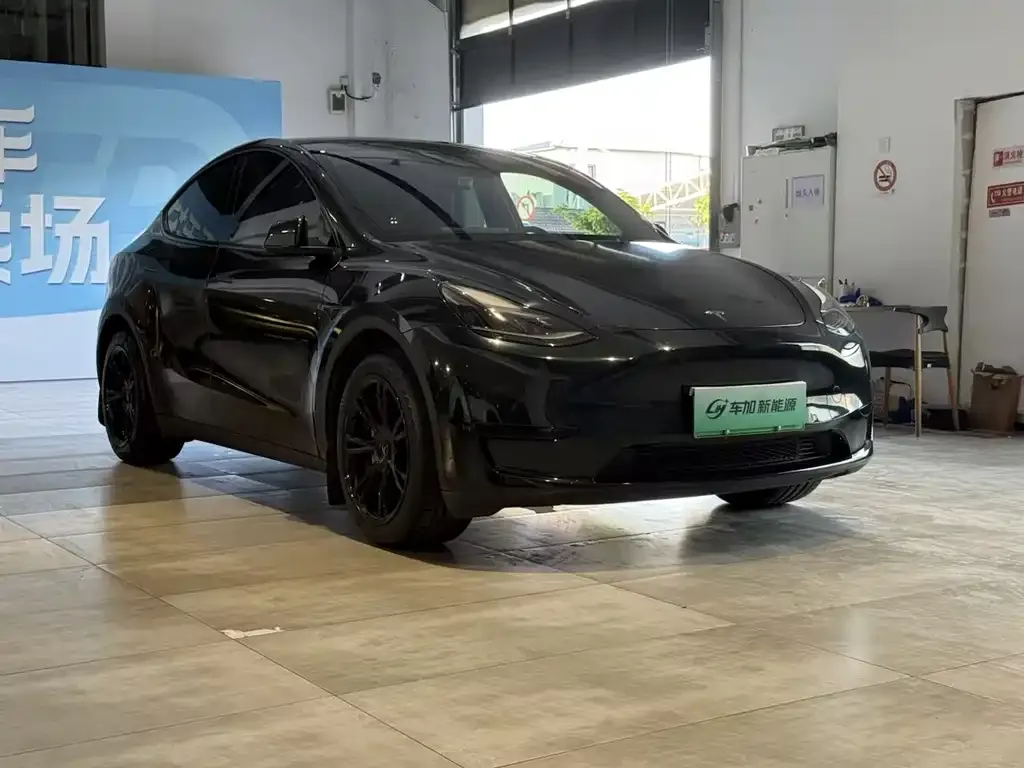 Tesla Model Y — фото 6