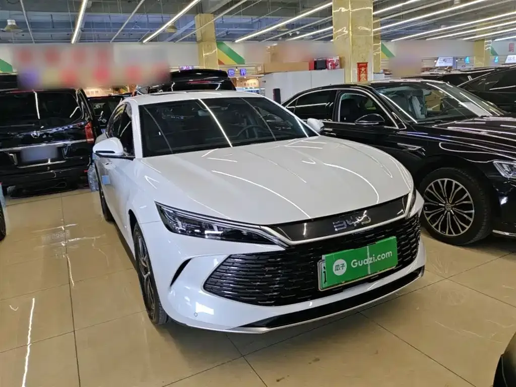 BYD Qin L — фото 6