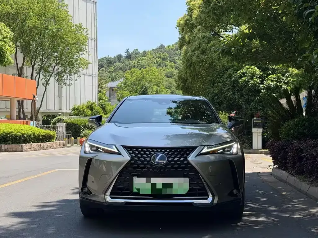 Lexus UX New Energy 2022 из CN, фото 7