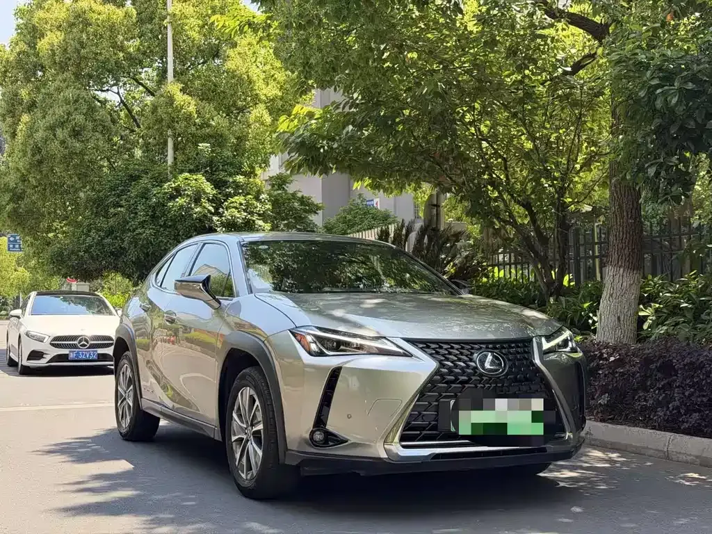 Lexus UX New Energy 2022 из CN, фото 4