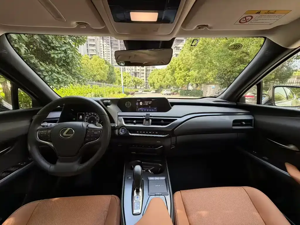 Lexus UX New Energy 2022 из CN, фото 5