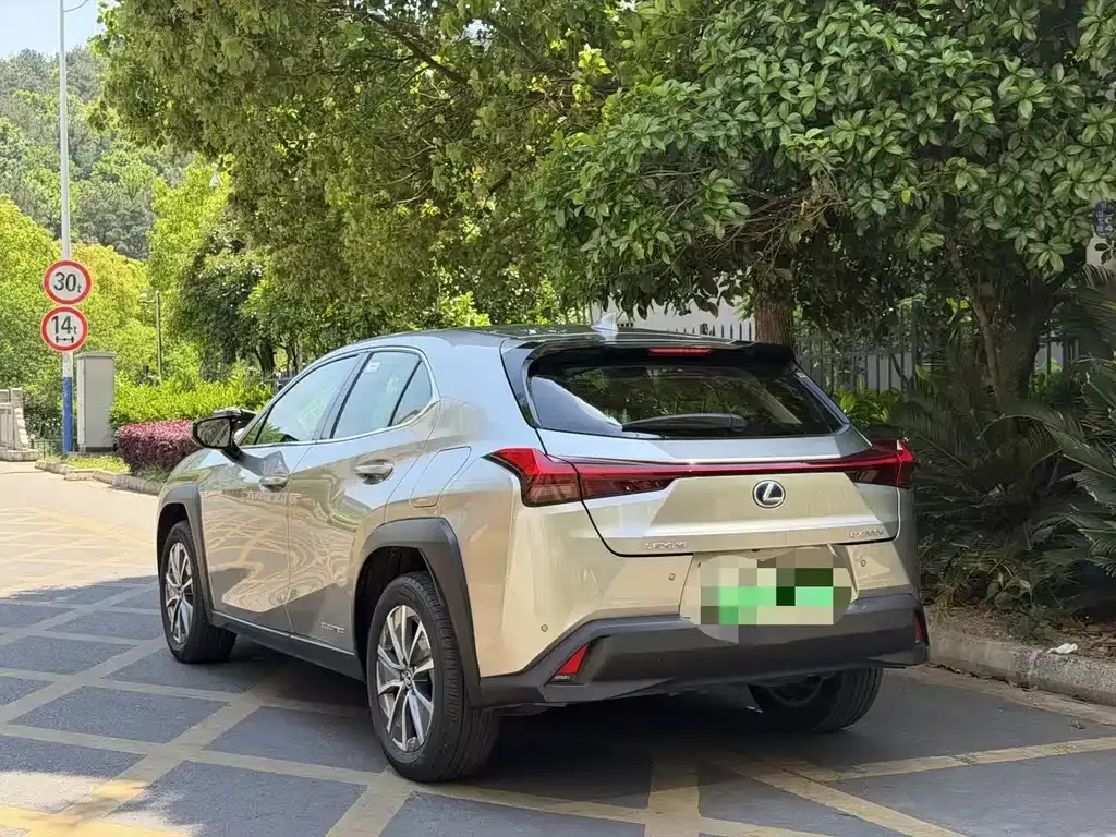 Lexus UX New Energy 2022 из CN, фото 6