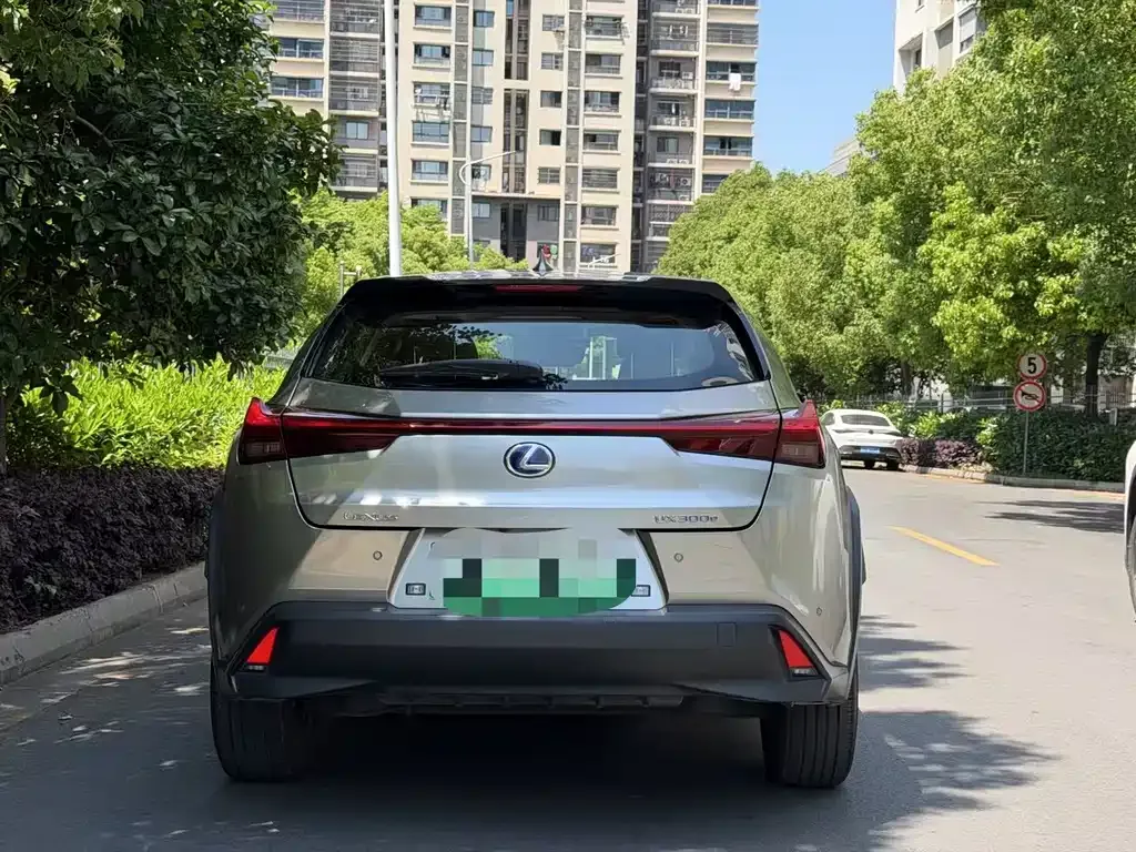 Lexus UX New Energy 2022 из CN, фото 8