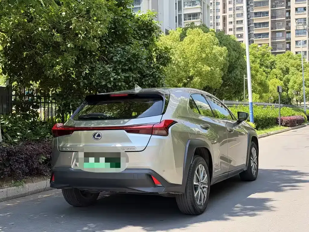 Lexus UX New Energy 2022 из CN, фото 9