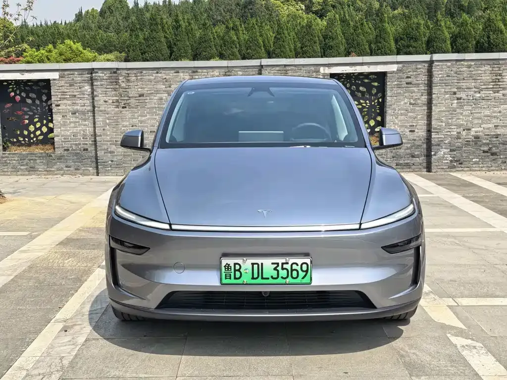 Tesla Model Y — фото 9
