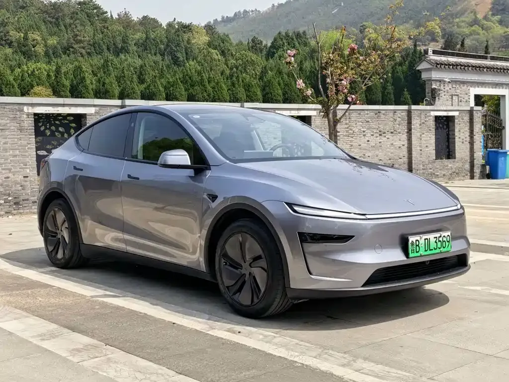Tesla Model Y — фото 10
