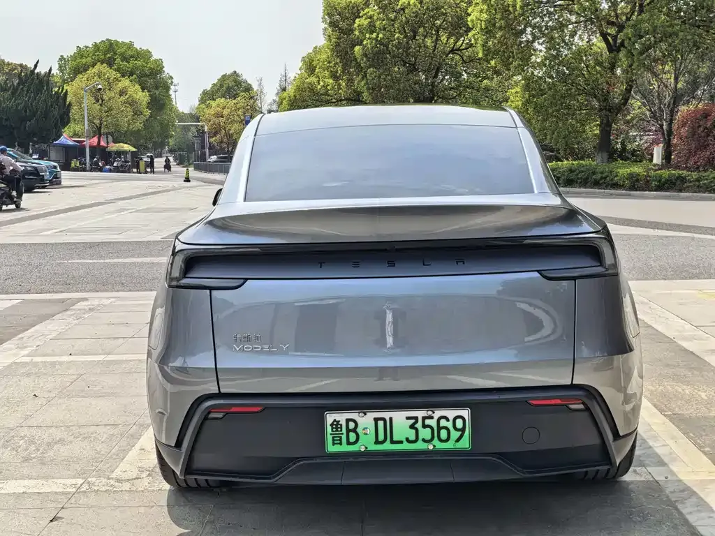 Tesla Model Y — фото 3
