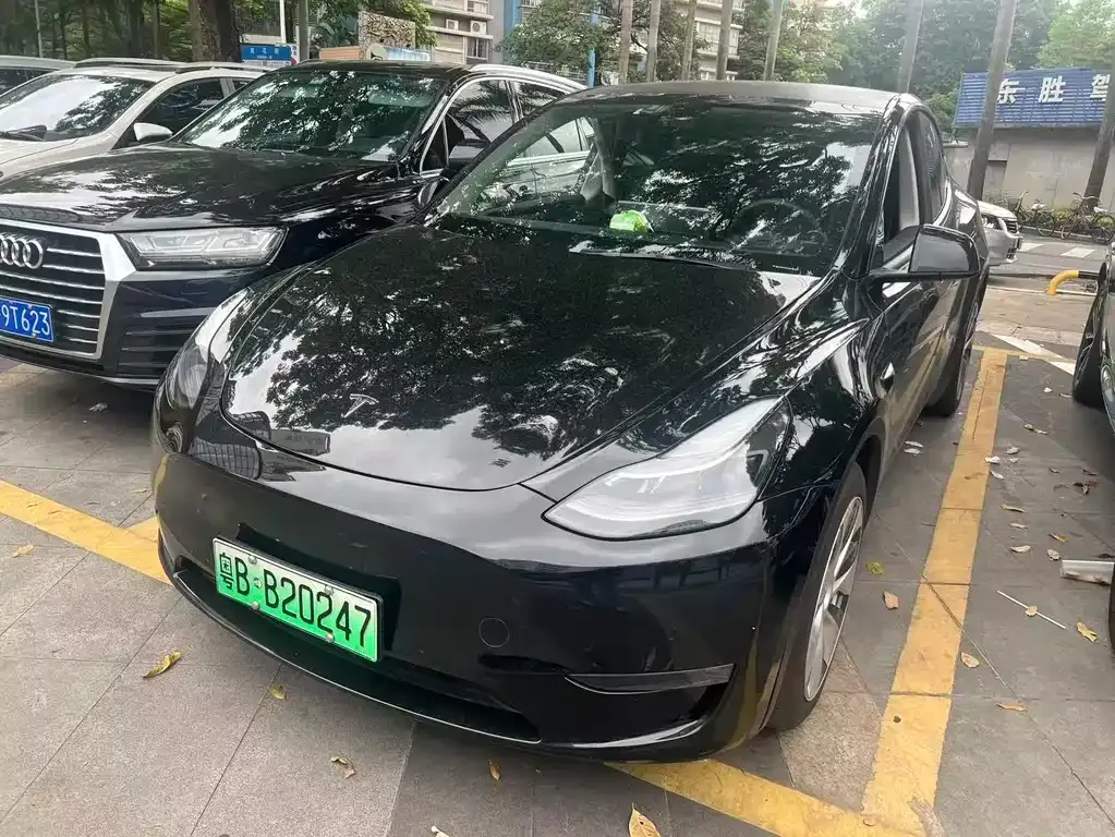Tesla Model Y — фото 1