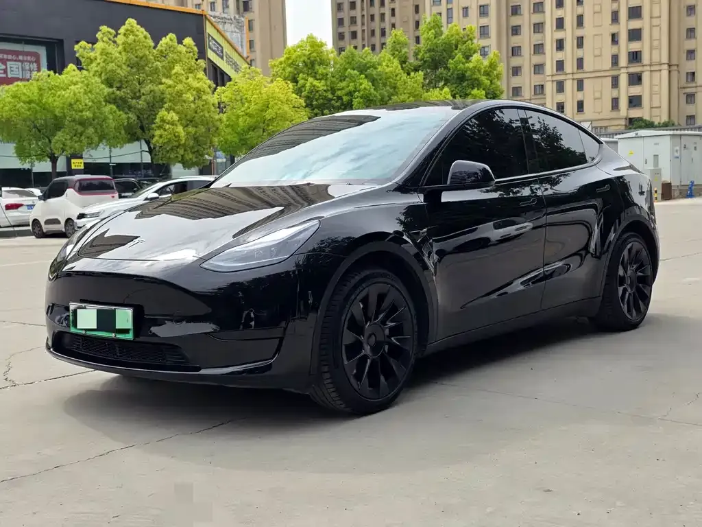 Tesla Model Y — фото 1