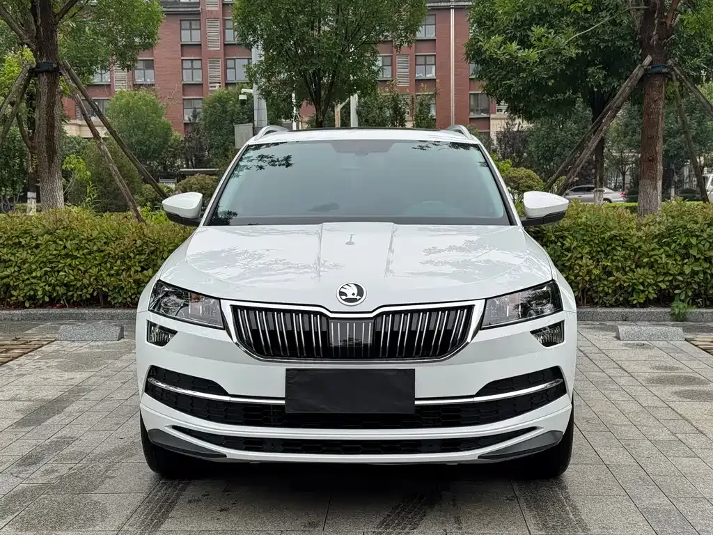Skoda Karoq — фото 10
