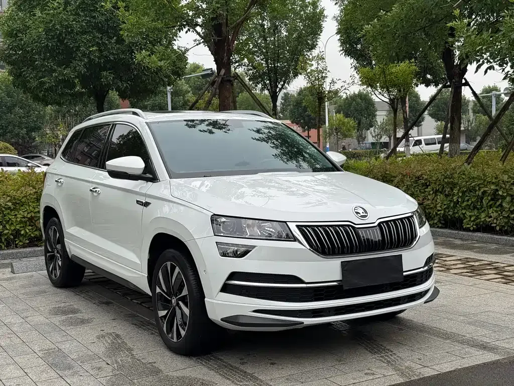 Skoda Karoq — фото 8