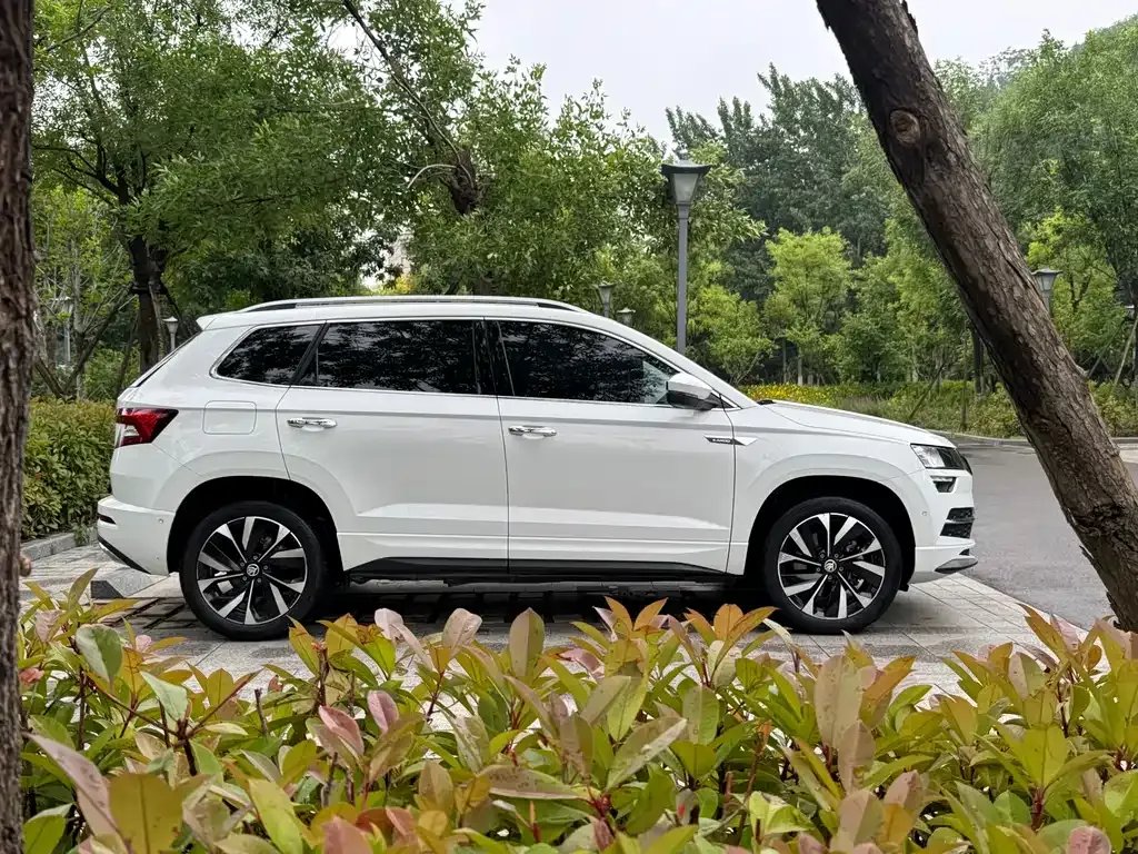 Skoda Karoq — фото 4