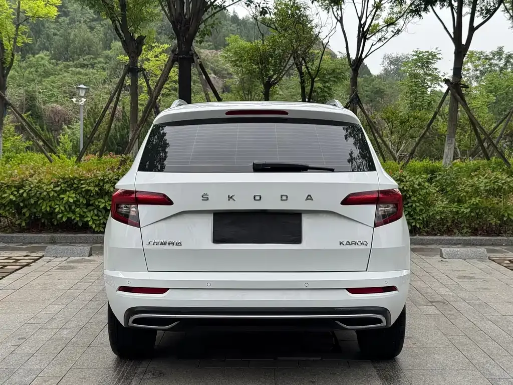Skoda Karoq — фото 6