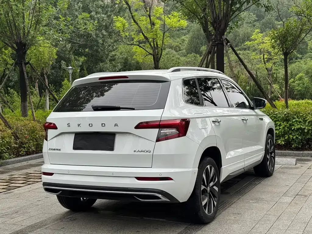 Skoda Karoq — фото 9