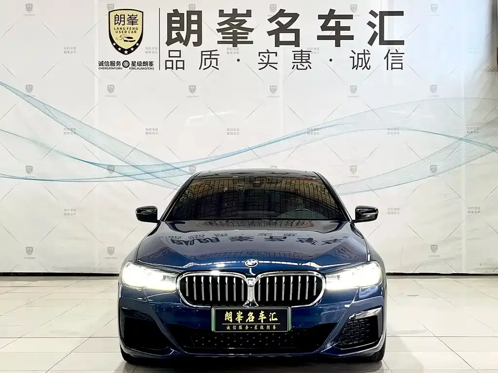 BMW 5 Series New Energy — фото 4