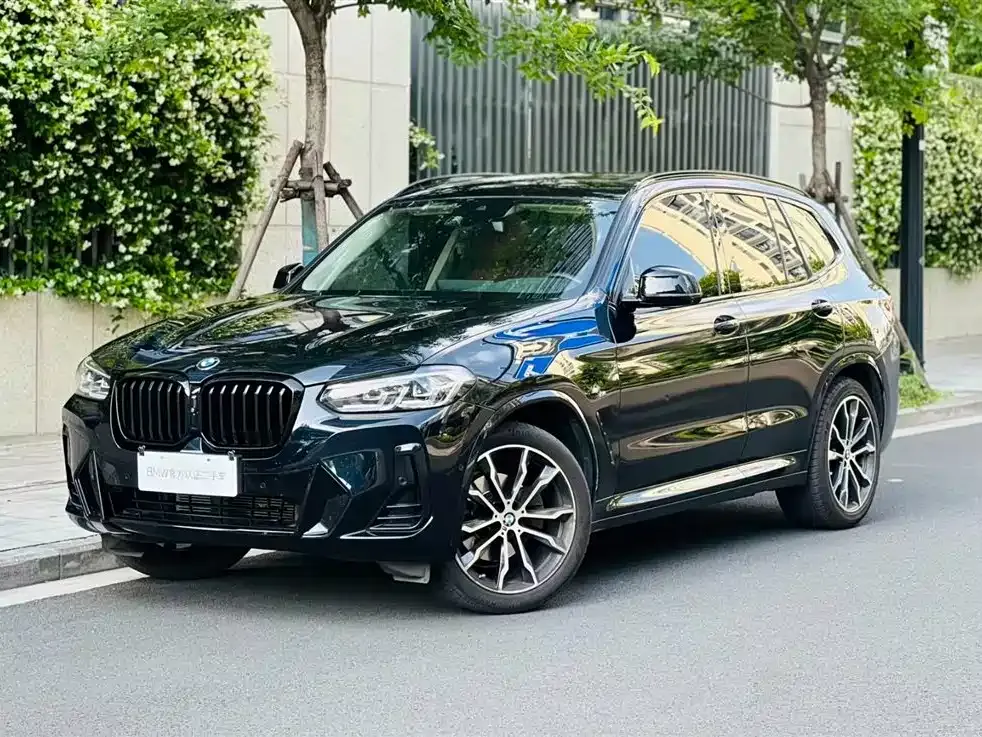 BMW X3 — фото 1