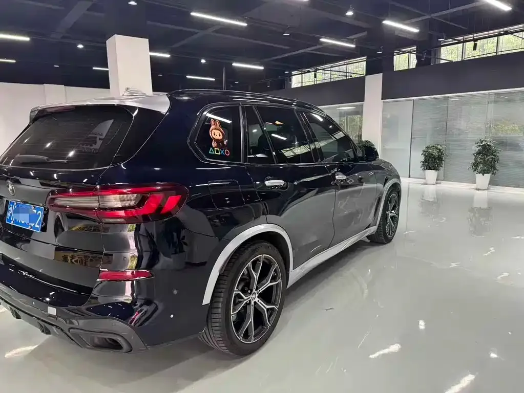 BMW X5 (Import) 2021 из CN, фото 6