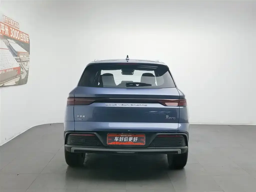 BYD Pro New Energy — фото 4