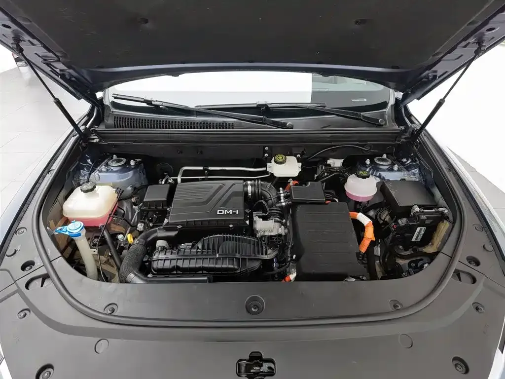 BYD Pro New Energy — фото 8
