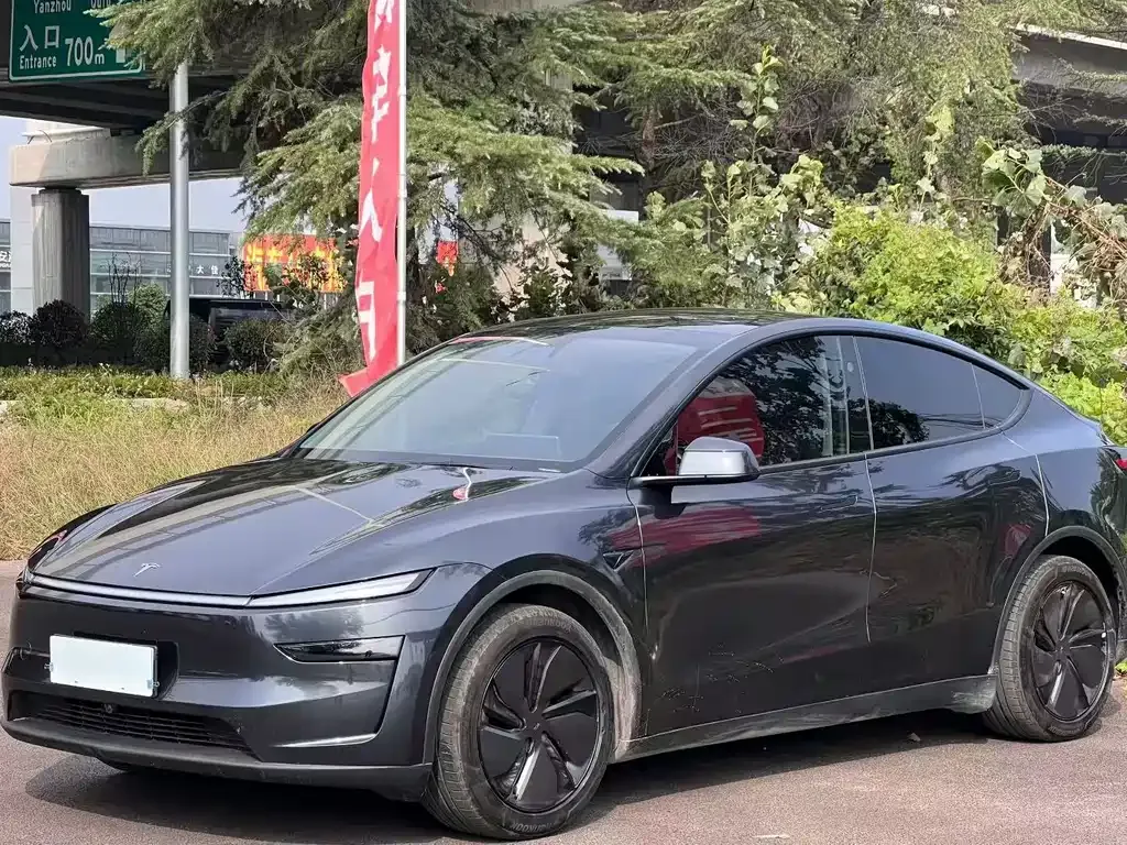 Tesla Model Y — фото 5
