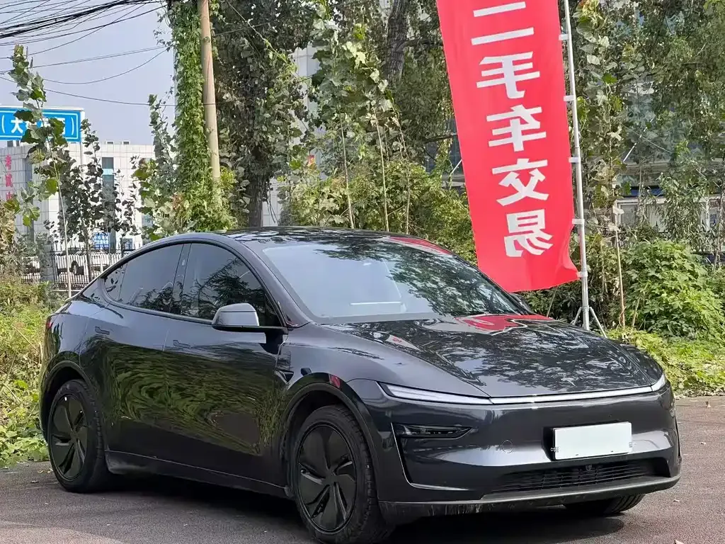 Tesla Model Y — фото 9