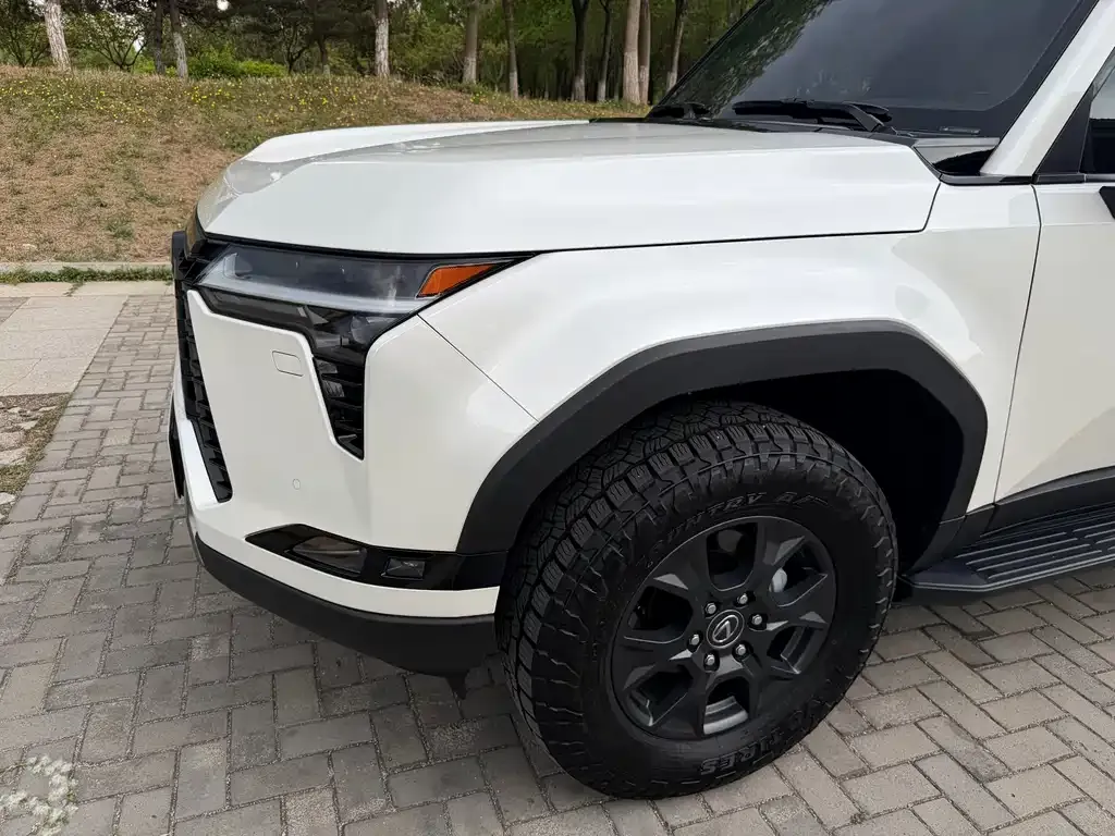 Lexus GX 2024 из CN, фото 8