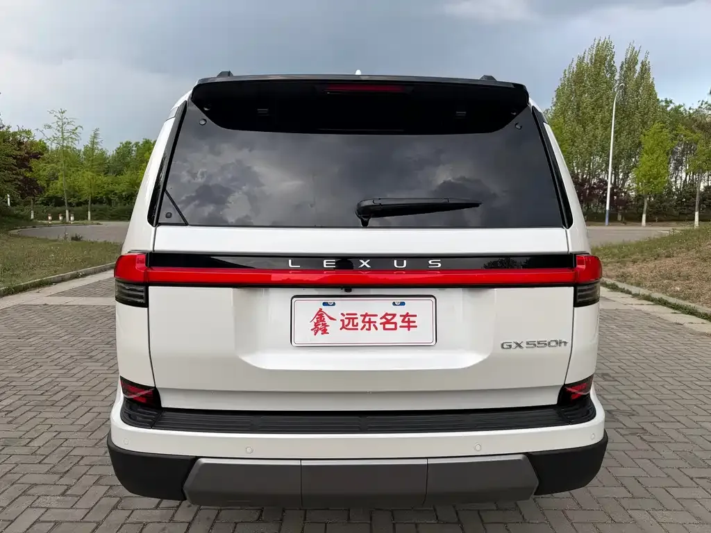 Lexus GX 2024 из CN, фото 2
