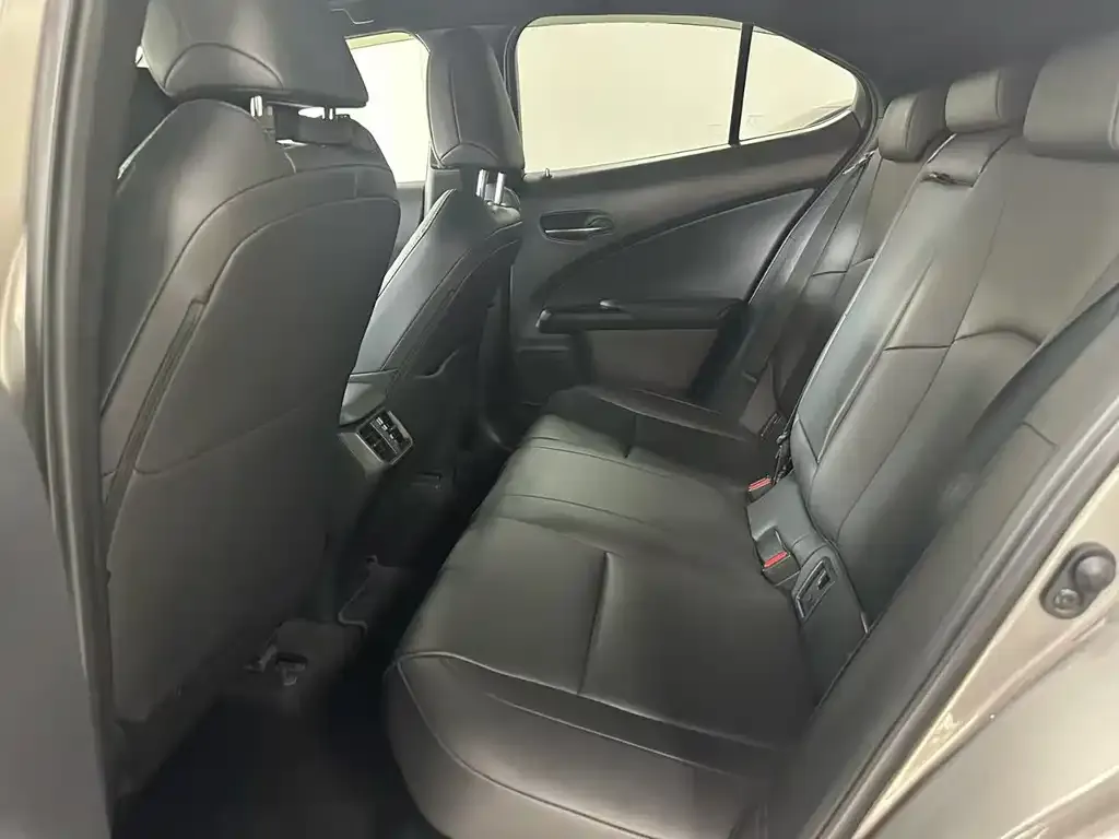 Lexus UX 2021 из CN, фото 2