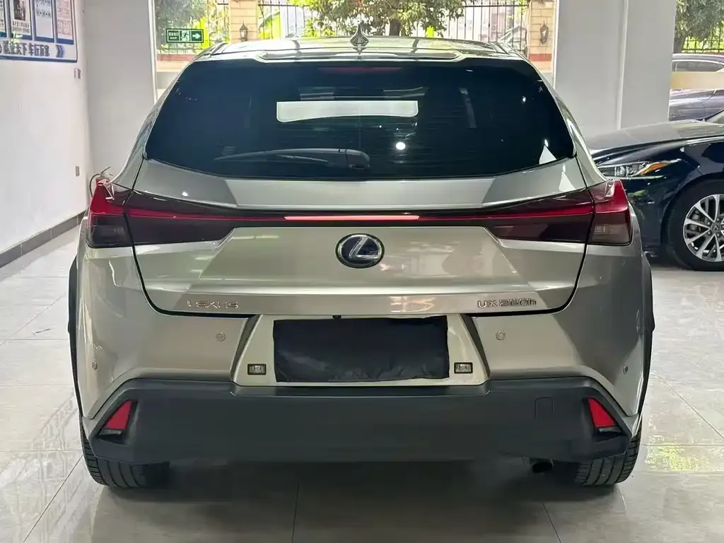 Lexus UX 2021 из CN, фото 3