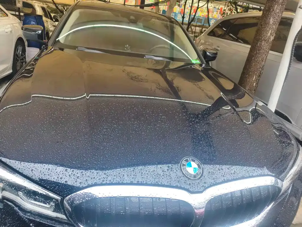 BMW 3 Series 2022 из CN, фото 9