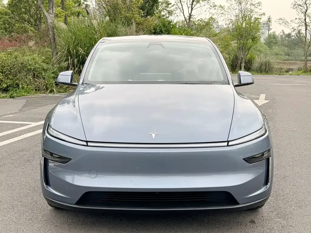 Tesla Model Y — фото 9