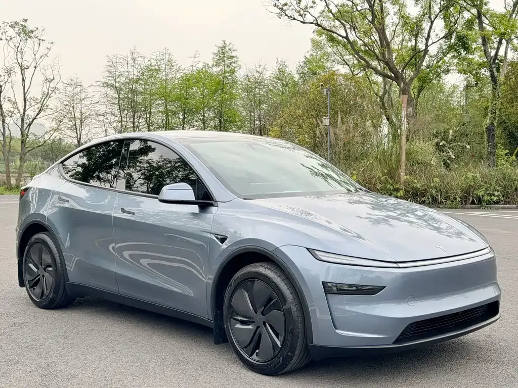 Tesla Model Y — фото 10