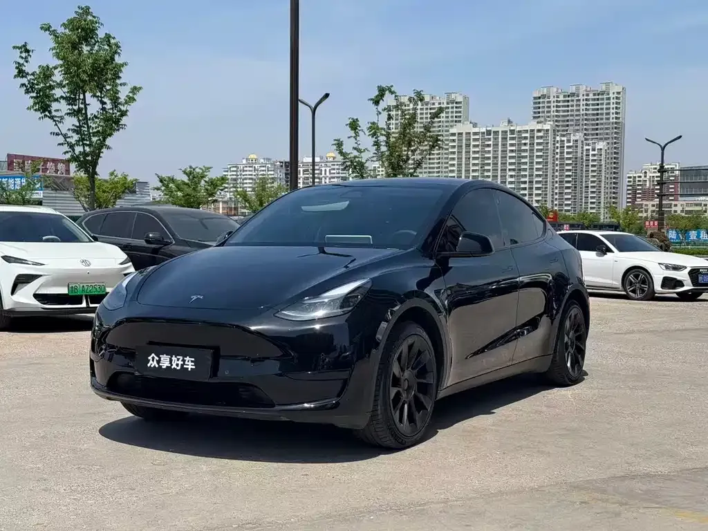 Tesla Model Y — фото 1