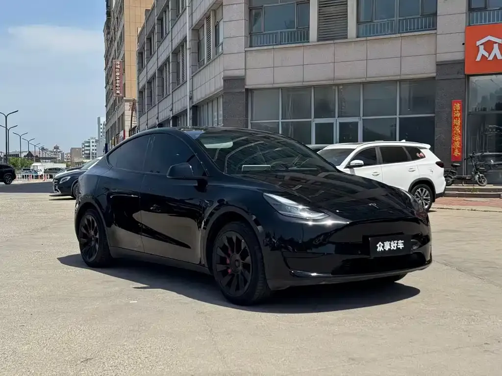 Tesla Model Y — фото 8