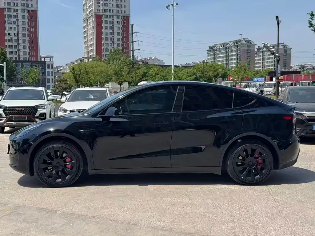 Tesla Model Y — фото 7