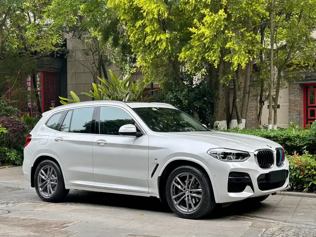 BMW X3 — фото 10