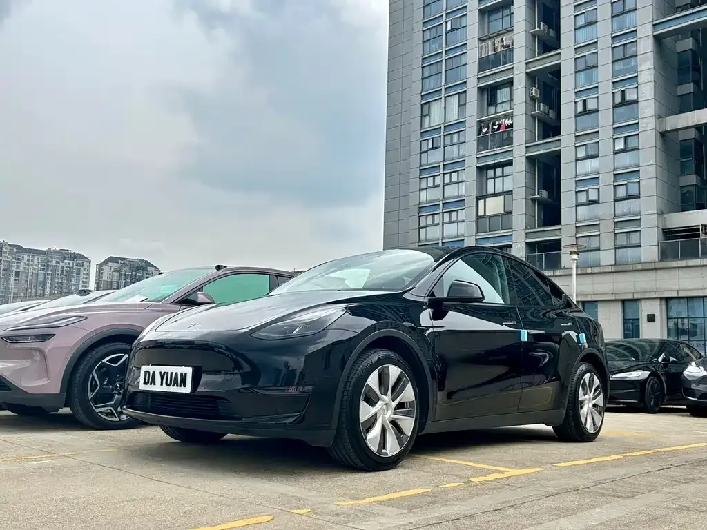 Tesla Model Y — фото 1