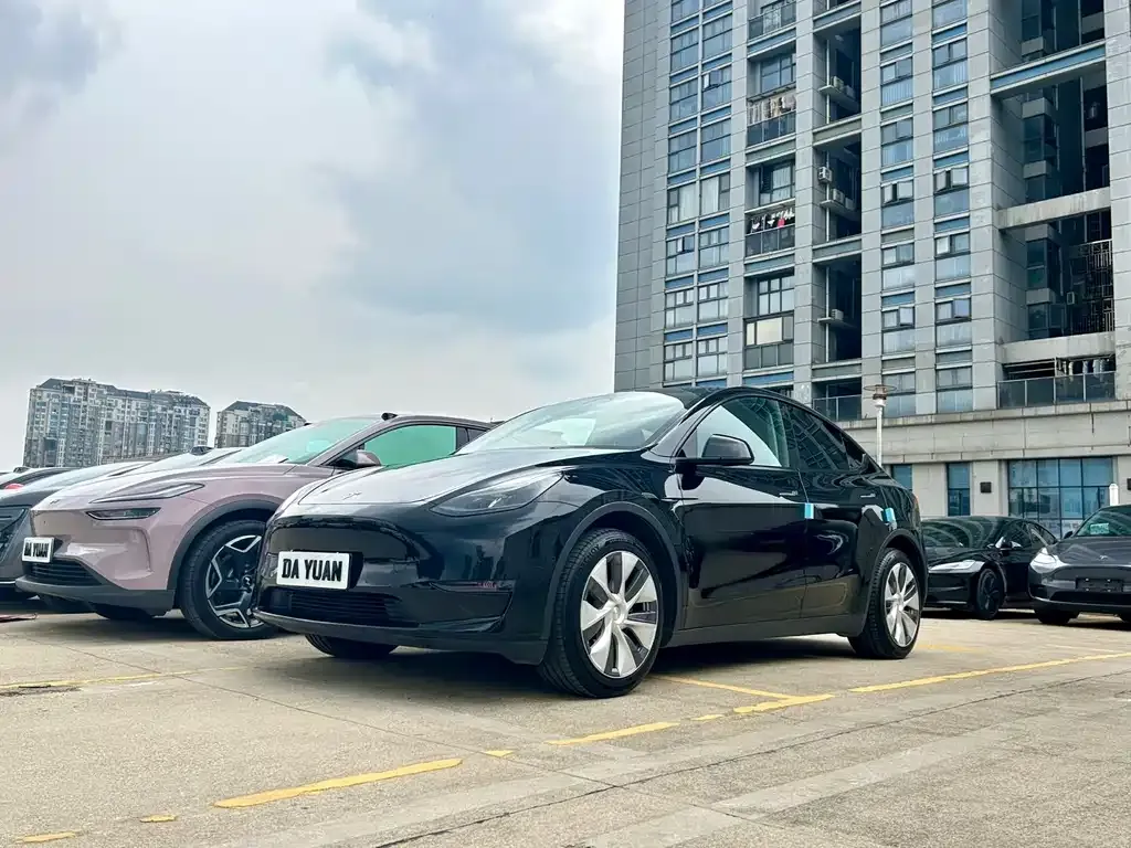Tesla Model Y — фото 4